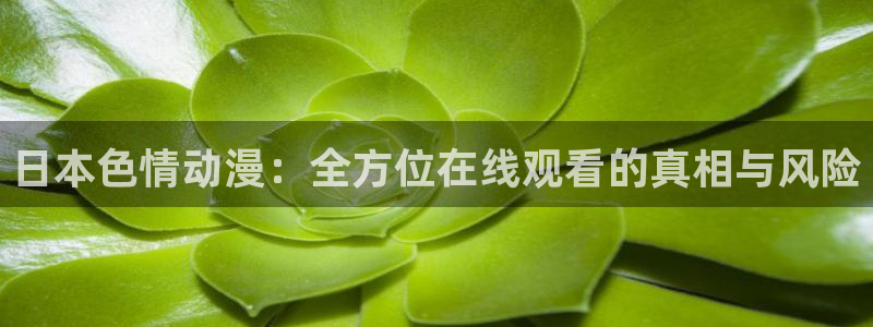 动漫共和国官网网址
