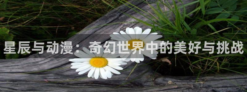 动漫共和国最新官网：星辰与动漫：奇幻世界中的美好与挑战